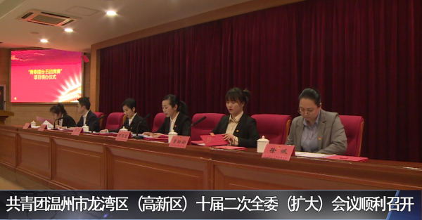 共青团温州市赌博网,赌博网站区(高新区)十届二次全委(扩大)会议顺利召开