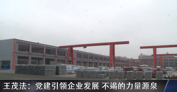 王茂法:党建引领企业发展,不竭的力量源泉