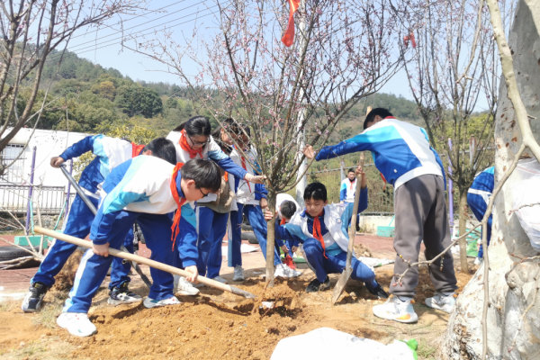 植树节 | 瓯海这群少年在校园里“植”此青绿