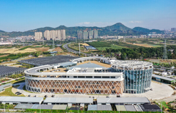 温州花城等你来