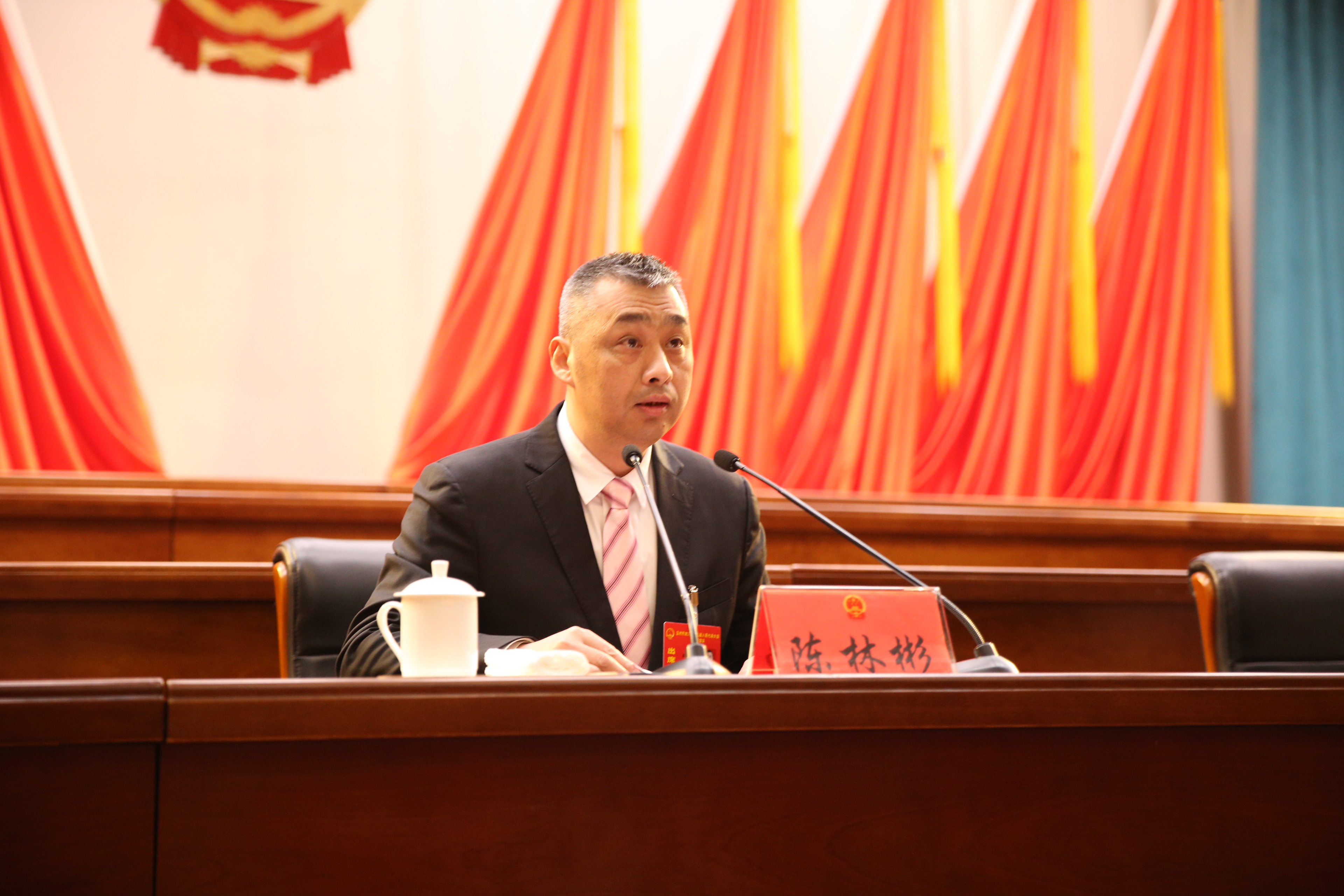 区人大常委会主任周赞参加会议,区人大常委会副主任陈林彬主持会议.